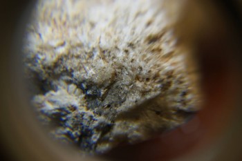 2017-03-10 18-57-52.JPG