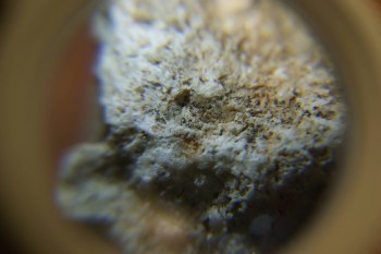 2017-03-10 18-58-08.JPG