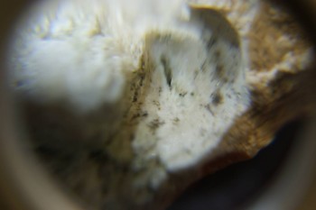 2017-03-10 18-58-26.JPG