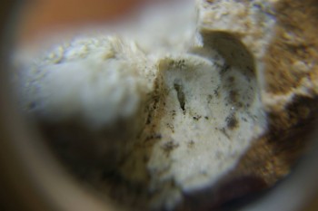 2017-03-10 18-58-32.JPG