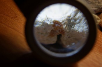 2017-03-10 18-59-06.JPG