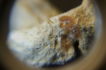 2017-03-10 18-59-24.JPG