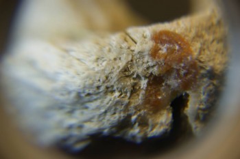 2017-03-10 18-59-36.JPG