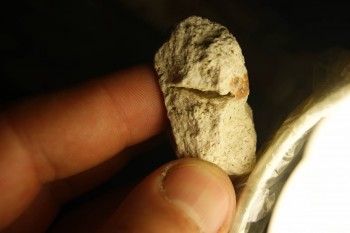 2017-03-10 19-01-04.JPG