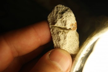 2017-03-10 19-01-08.JPG