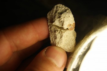 2017-03-10 19-01-16.JPG