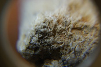 2017-03-10 19-02-04.JPG