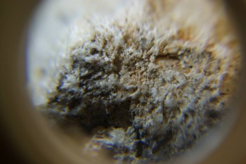 2017-03-10 19-02-10.JPG