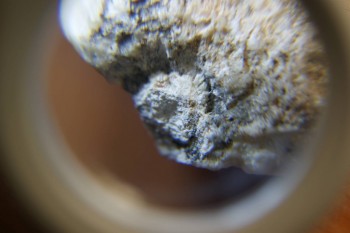 2017-03-10 19-02-16.JPG