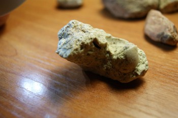 2017-03-10 19-02-52.JPG