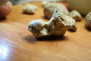 2017-03-10 19-03-10.JPG