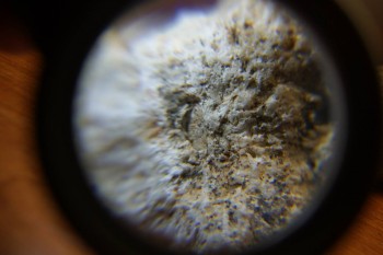 2017-03-10 19-03-36.JPG