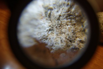 2017-03-10 19-03-42.JPG