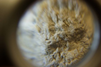 2017-03-10 19-04-28.JPG