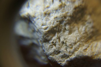 2017-03-10 19-04-46.JPG