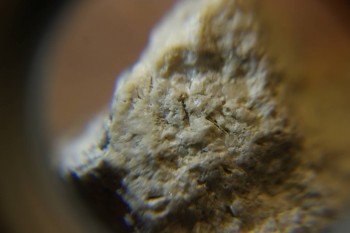 2017-03-10 19-04-56.JPG