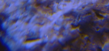 2017-03-10 19-04-56 (4).JPG