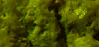 2017-03-10 19-04-56 (3).JPG