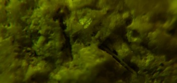 2017-03-10 19-04-56 (2).JPG