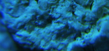 2017-03-10 19-04-46 (6).JPG