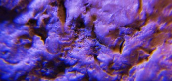 2017-03-10 19-04-46 (4).JPG