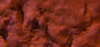 2017-03-10 19-04-46 (3).JPG