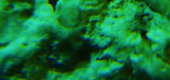 2017-03-10 19-04-46 (2).JPG