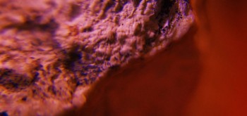 2017-03-10 19-04-00 (3).JPG