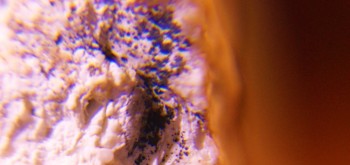 2017-03-10 19-04-00 (2).JPG