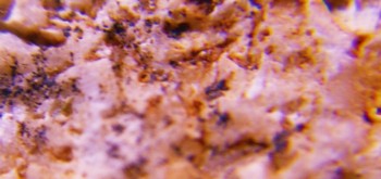 2017-03-10 19-03-42 (4).JPG