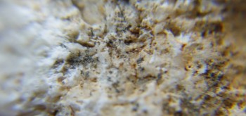 2017-03-10 19-03-42 (3).JPG