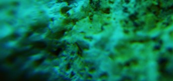 2017-03-10 19-03-42 (2).JPG