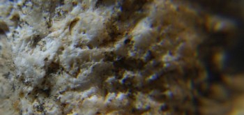 2017-03-10 19-03-36 (3).JPG