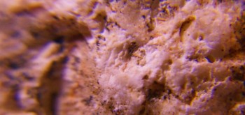 2017-03-10 19-03-36 (2).JPG