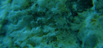 2017-03-10 19-03-22 (3).JPG