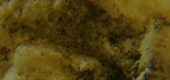 2017-03-10 19-03-22 (2).JPG