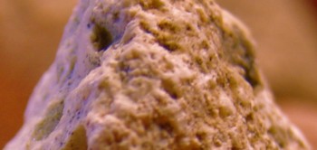 2017-03-10 19-03-10 (3).JPG