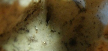 2017-03-10 19-03-10 (2).JPG