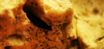 2017-03-10 19-02-52 (3).JPG