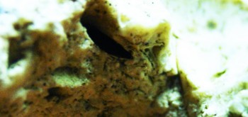 2017-03-10 19-02-52 (2).JPG