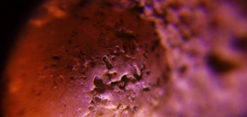 2017-03-10 19-02-34 (3).JPG