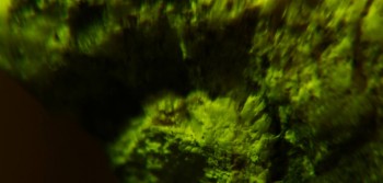 2017-03-10 19-02-16 (3).JPG