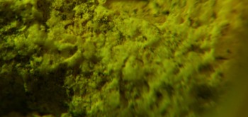 2017-03-10 19-02-10 (4).JPG