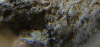 2017-03-10 19-02-10 (3).JPG