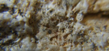 2017-03-10 19-02-10 (2).JPG