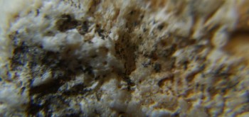 2017-03-10 19-02-04 (2).JPG