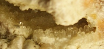 2017-03-10 19-01-16 (2).JPG