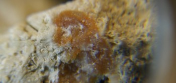 2017-03-10 18-59-24 (2).JPG