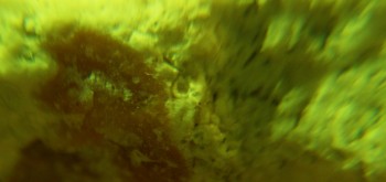 2017-03-10 18-59-06 (2).JPG