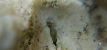 2017-03-10 18-58-32 (2).JPG